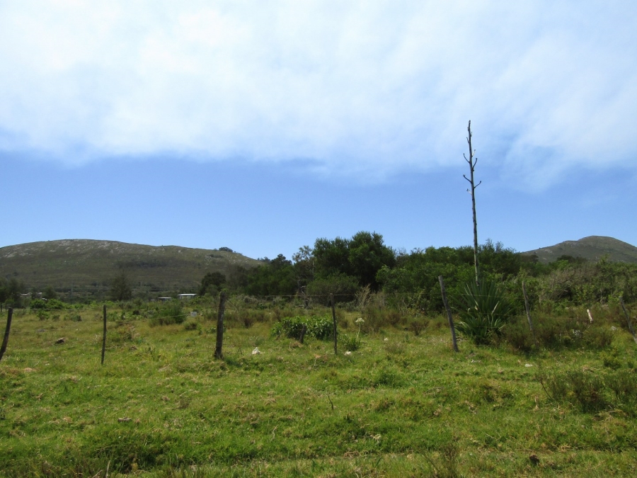 0 Bedroom Property for Sale in Kruisfontein Eastern Cape